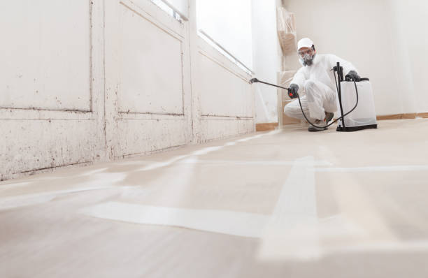 24/7 Emergency Mold Remediation experts in Seminole, TX